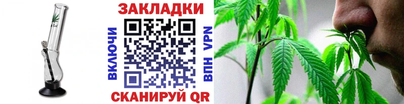 Какие есть наркотики Карачев Экстази  blacksprut онион  Конопля  Cocaine  СОЛЬ 