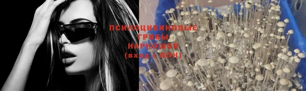 марки nbome Богородицк