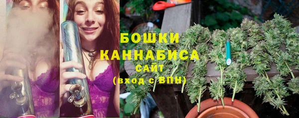 гидропоника Богданович
